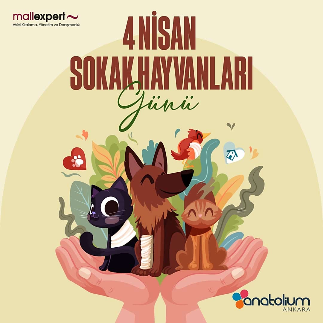4 Nisan Dünya Sokak Hayvanları Günü! Sokakta yaşayan canlarımızı unutmayalım!????????