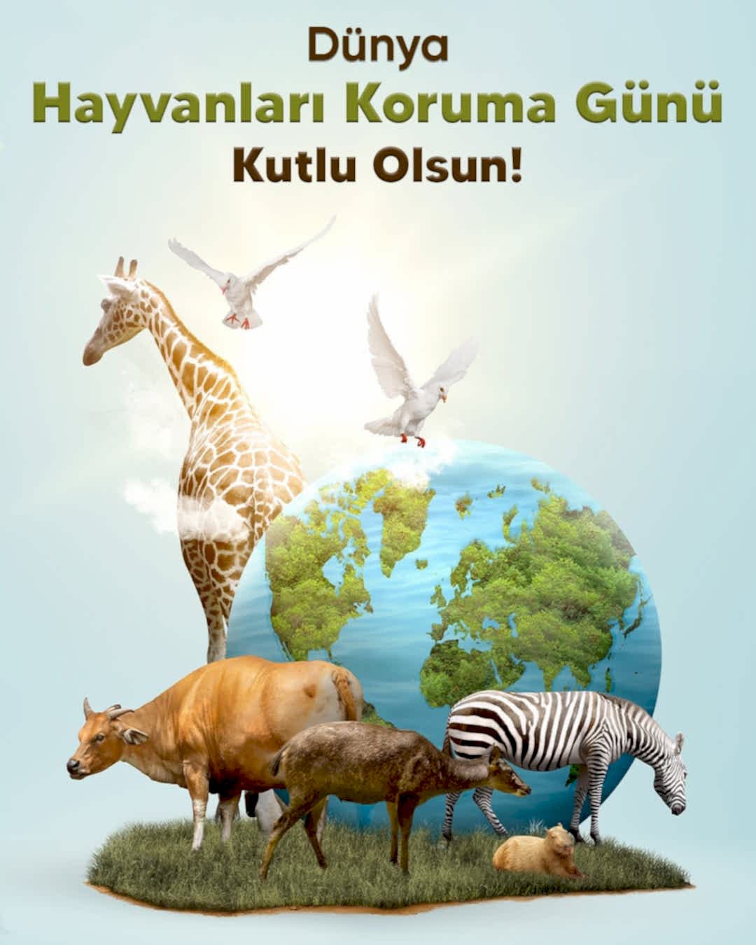 Dünya Hayvanları Koruma Günü Kutlu Olsun!