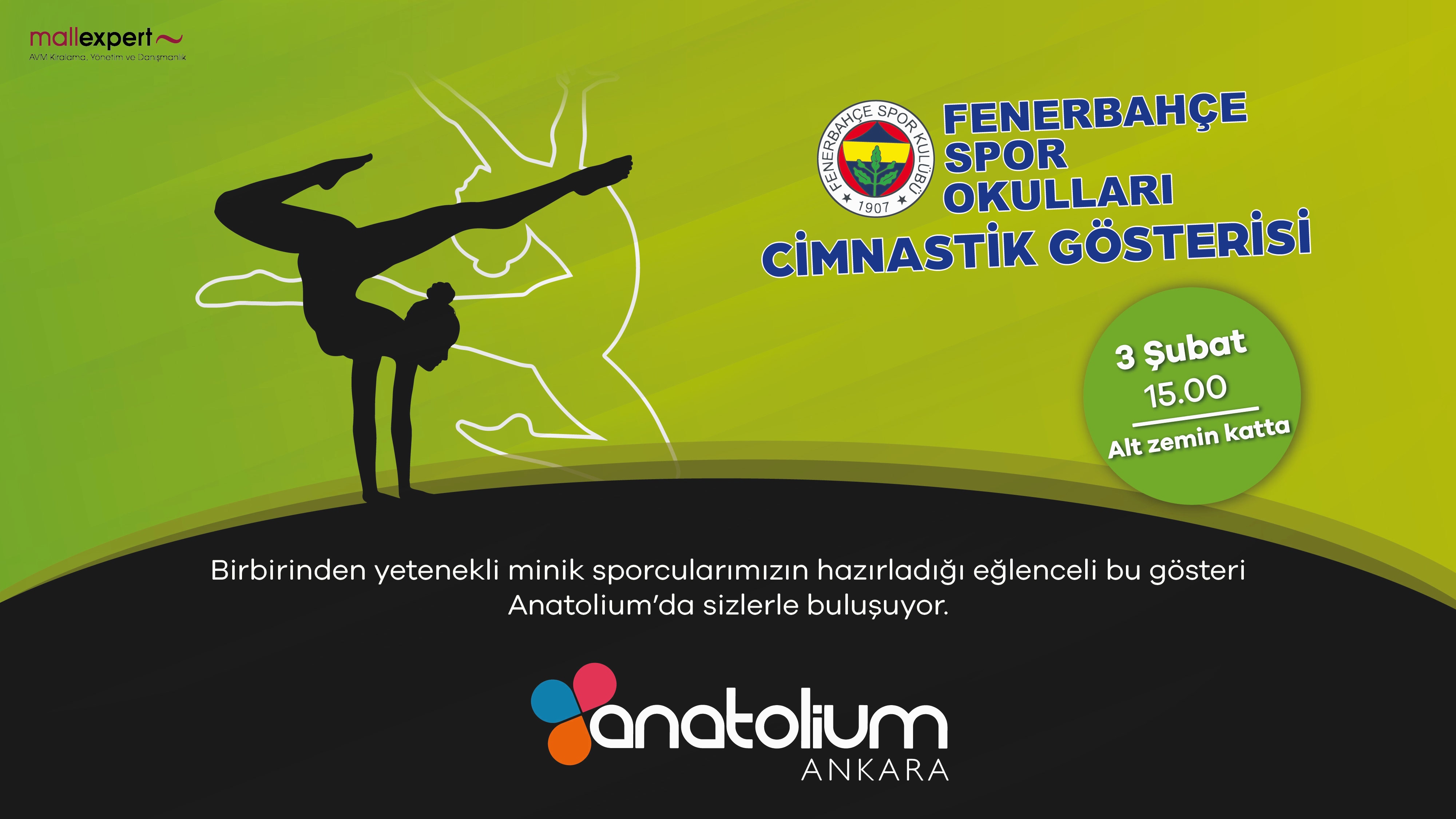 Fenerbahçe Spor Okulları Cimnastik Gösterisi