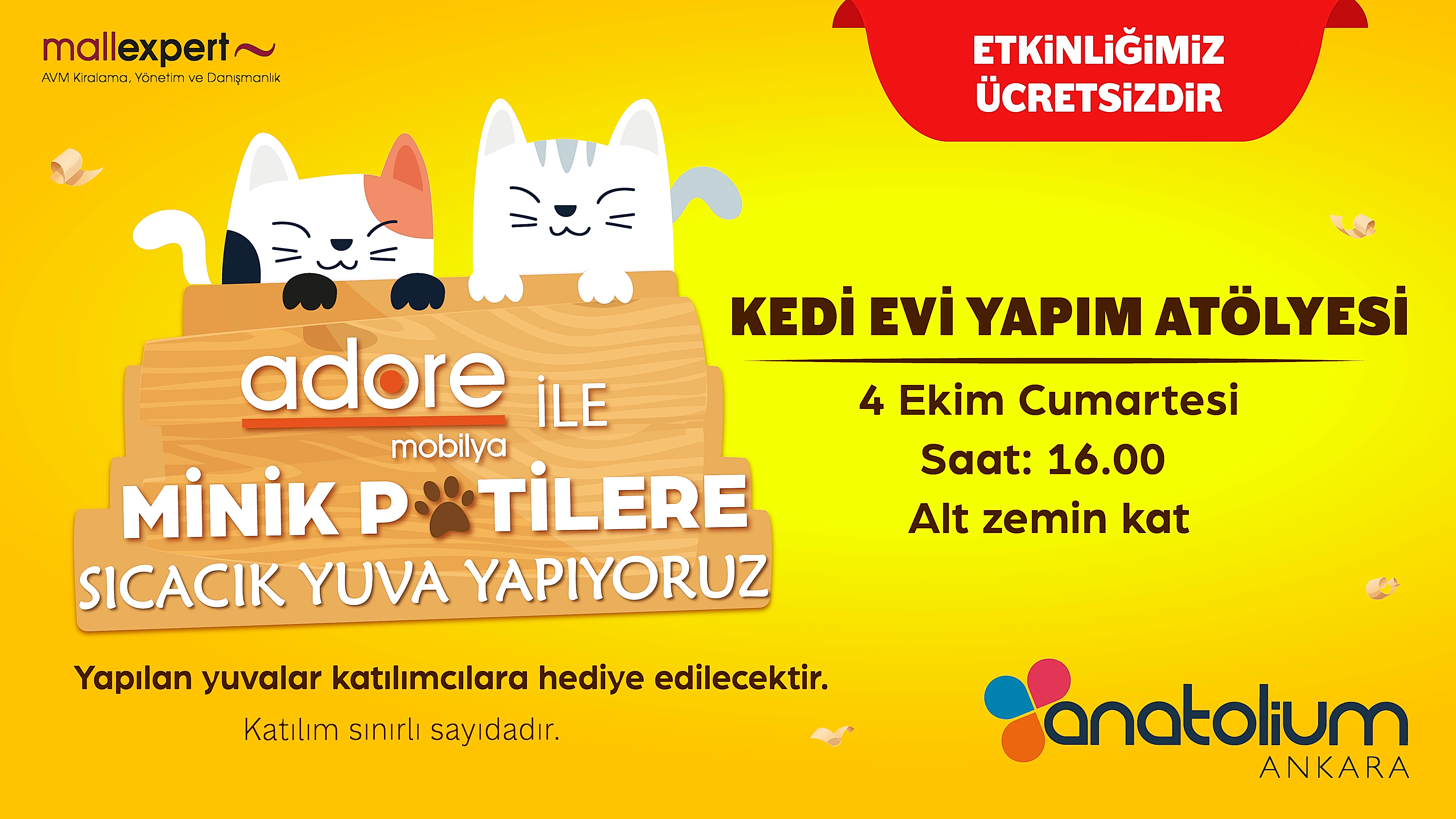 Adore ile Kedi Evi Yapımı